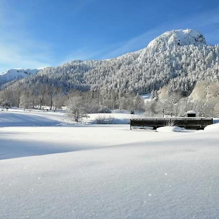 Chalet Des Cascades Le Mont-Dore Exterior photo