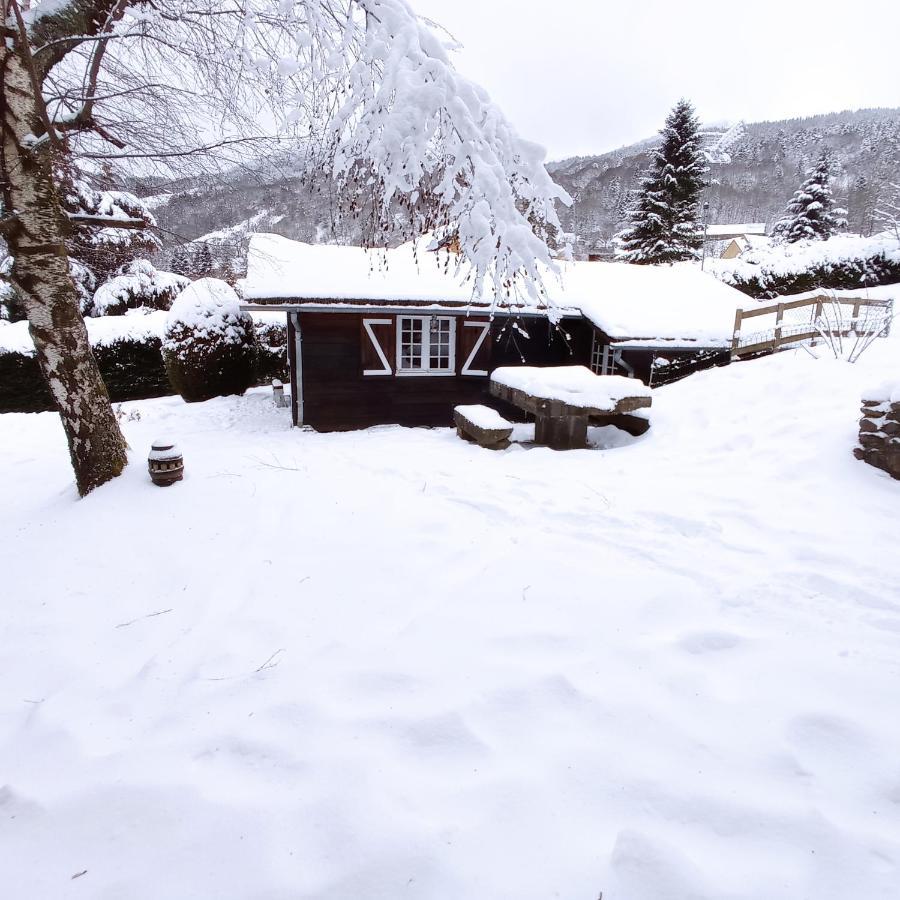 Chalet Des Cascades Le Mont-Dore Exterior photo